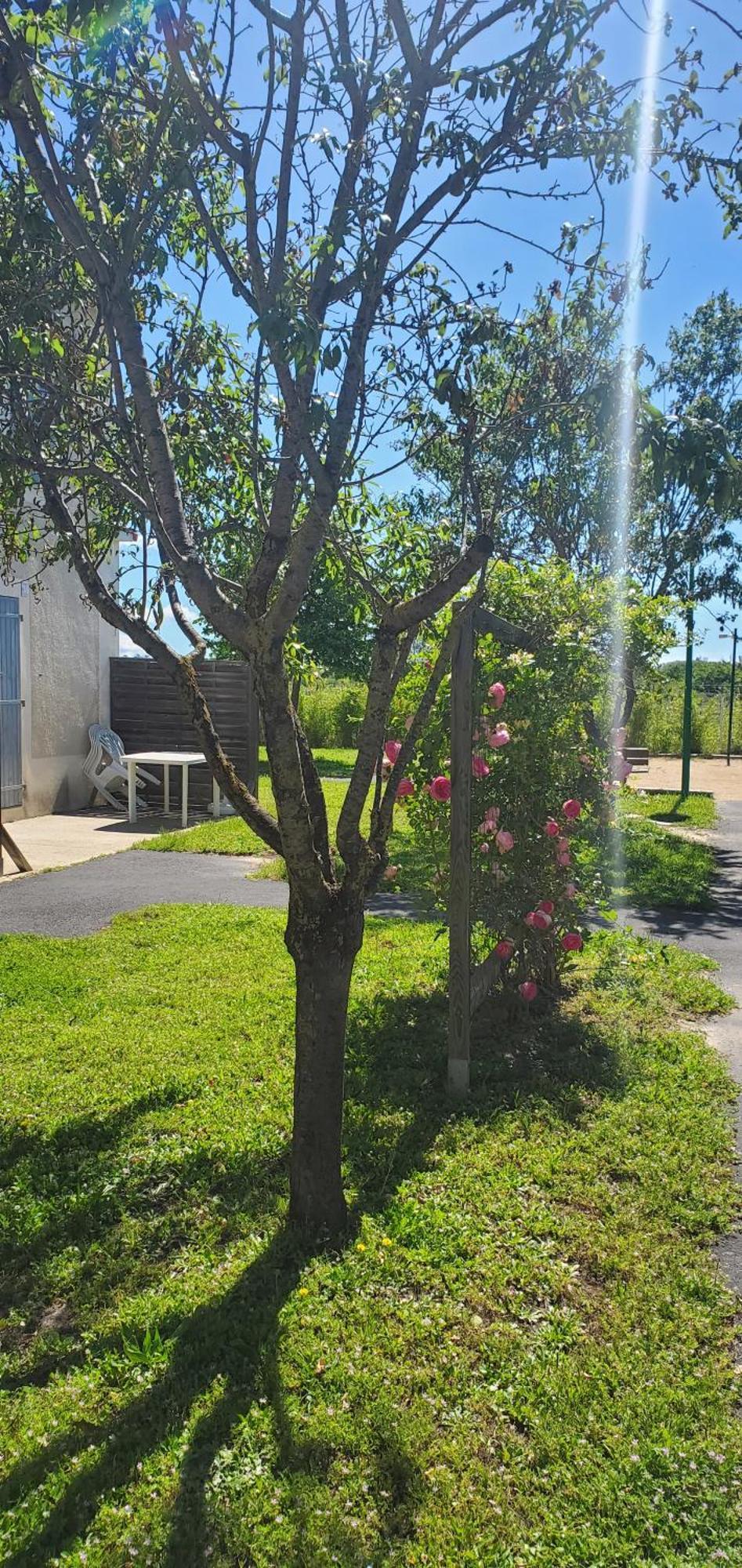 Le Canal Climatisation Wi-Fi Parking Jardin Piscine 15 Mn De Beziers Colombiers  Exterior foto